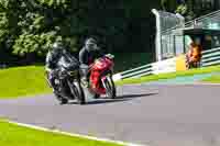cadwell-no-limits-trackday;cadwell-park;cadwell-park-photographs;cadwell-trackday-photographs;enduro-digital-images;event-digital-images;eventdigitalimages;no-limits-trackdays;peter-wileman-photography;racing-digital-images;trackday-digital-images;trackday-photos